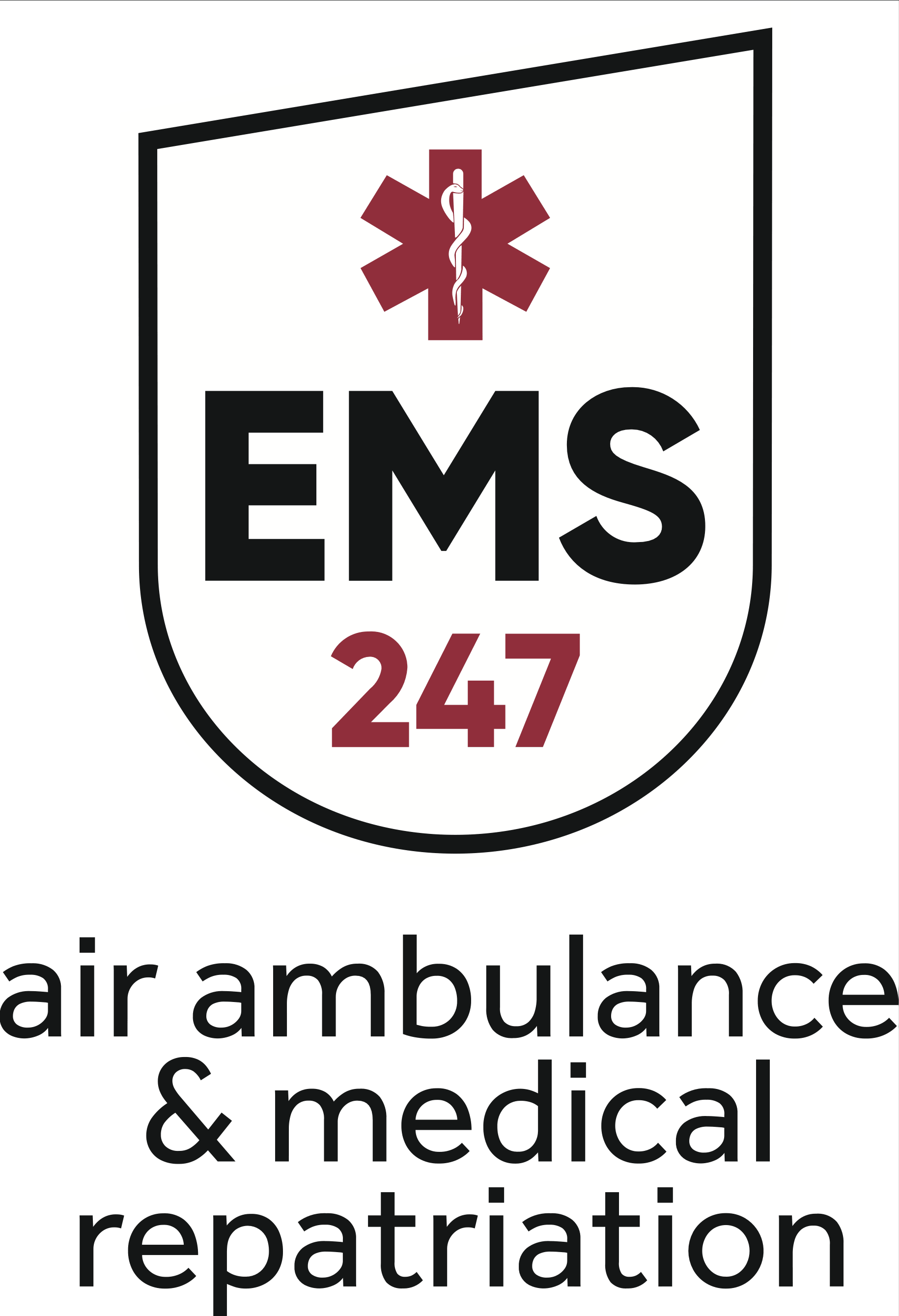 EMS Ambulance logo